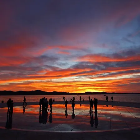 Goga בית הארחה 3*